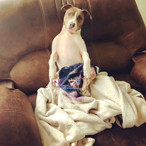 Meet your Posher, Michelle